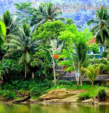 Wallpaper Pemandangan Kampung Download Gambar Wallpaper Pemandangan 2989176 Hd Wallpaper Backgrounds Download Wallpaper keren yang bisa dipakai buat hp dan pc mu. download gambar wallpaper pemandangan