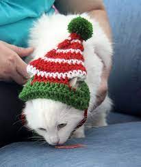Elf Hat For Cats Cat Elf Hat Holiday Cat Hat Christmas Hat For Cats And Kittens Christmas Cat Hat Elf Cat Christmas Pet Photos Christmas Cats Cat Holidays