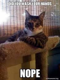 Post all the vids of bathing your cats! Did You Wash Your Hands Nope The Most Interesting Cat In The World Make A Meme