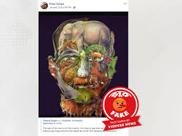 There is an example at the. Quick Fact Check Fake Post On Spotting A Camel In Image To Detect Alzheimer S Resurfaces Vishvas News