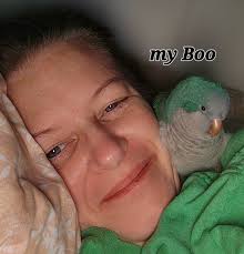 Tiny feather found at summer party