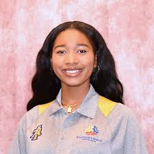 College of Engineering Ambassadors