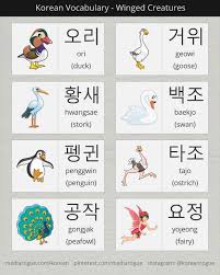 Polubienia 1 737 Komentarze 6 James Rogue Koreanrogue Na Instagramie Korean Names For Things Wi In 2020 Korean Language Learn Korean Korean Language Learning