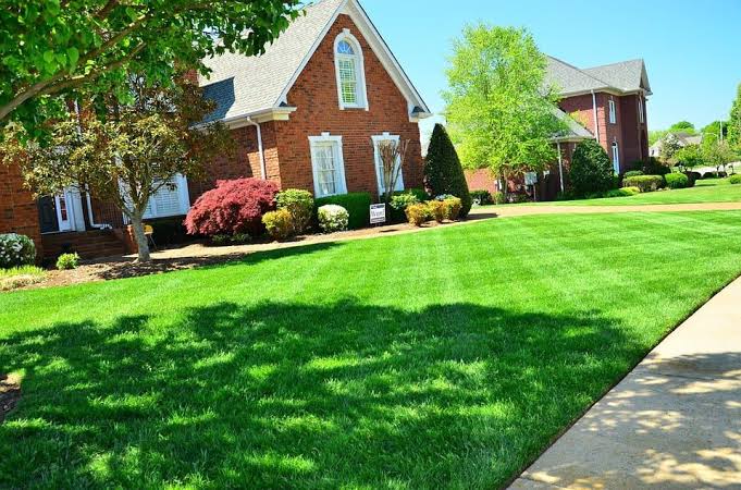 Importance of Having a Healthy Lawn | Lombardos Lawn Care