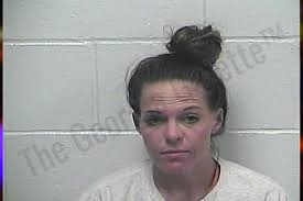 Jamie Roberts — Dawson County Jail Bookings