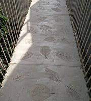 Share a little more about your business with homeowners and potential customers. Leaf Impressions In Concrete Floor On The Terrace Bridge Picture Of Hanu Reddy Residences Poes Garden Chennai Tripadvisor