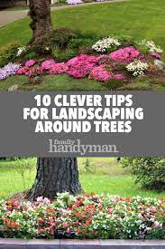 10 Clever Tips For Landscaping Around Trees Landscaping Around Trees Plants Under Trees Shade Landscaping