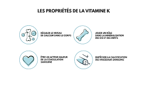 La vitamine k1 se trouve majoritairement dans les aliments dorigine vegetale et la k2 dans les aliments. La Vitamine K Plus Importante Que L On Ne Croit