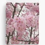 They bloom in early summer and blossoms last for about three weeks. 179 22