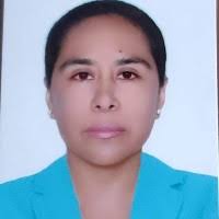 Flor yuliana Arce vega