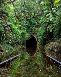 Earth Nature Explore Abandoned Earth On Instagram Feature From Remisalvaphotographie The Tunnel Abandoned Railway St Abandoned Places Abandoned Nature