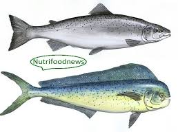 If You Care About Sustainability Never Eat These 5 Types Of Fish Fish Atlantic Salmon Salmon Farming