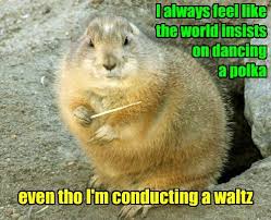 It S Better To Just Wave Your Arms Around Wildly Embracing The World Like Jazz Music Humor Funny Animal Memes Lawrence Welk