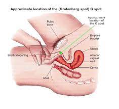 Where is the g spot. Irmonaliza S Blog Raha Kusugua G Spot Jinsi Ya Kuchezea Makalio Ya Mwanamke Mpaka Akojoe Jinsi Ya Kusugua G Spot Ya Mwanamke Atalia Kama Mtoto Mdogo Some People Think That It