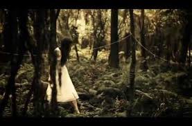 The Paper Kites Bloom Official Music Video The Paper Kites Music Videos Youtube Videos Music