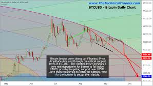 Bitcoin Price Collapse Continue For Many Months Etf