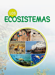 Es cualquier lugar o medio donde se encuentran interactuando los seres vivos o factores bióticos y los abióticos; Los Ecosistemas Ebook By Macro Editorial 9786123044855 Rakuten Kobo Greece