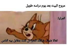 pin by amina elsayed on funny arabic quotes funny photo memes funny picture jokes funny phrases