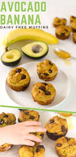 Avocado Banana Choc Chip Muffins Dairy Free Low Sugar Recipe In 2020 Dairy Free Muffins Banana Choc Chip Muffins Choc Chip Muffins