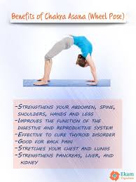 Pin By Andreea Thom On Yoga Benefits In 2020 Healing Yoga Wheel Pose Yoga Easy Yoga Workouts