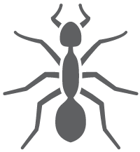 See reviews for clegg's termite & pest control llc in fayetteville, nc at po box 41204 from angi members or join today to leave your own review. Pest Control Service Clegg S Termite And Pest Control