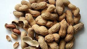 Misalnya, kacang vicia faba, telah menjadi bahan pangan di afghanistan dan kaki gunung himalaya dengan cara dikumpulkan dari alam, jauh sebelum di budidayakan oleh manusia. 13 Manfaat Kacang Tanah Di Antaranya Cegah Penyakit Jantung Dan Tingkatkan Kesuburan Bola Liputan6 Com