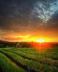 Pacet Mojokerto At Sunrise Sunrise Farmland Country Roads