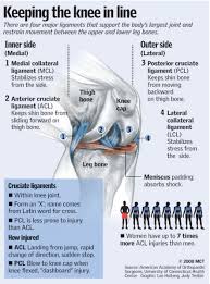 To get the most out of that magic i thought the dashboard is made of 5 core parts. Knee Injuries In Female Athletes Reaching Astronomical Levels Local News Billingsgazette Com