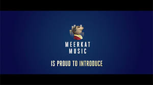 The catchy chilled out and bassy music playing in this churchill advert is a song called 'morals' that was released for download in 2019 by musicians africa express, featuring moonchild sanelly, mahotella queens, muzi, and mr jukes. Meerkat Music Advert Take That Reunion Tv Advert Music