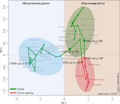 Kalo keong ogong ini banyak jenisnya ya, ada yang merah,kuning,hitam dan. Resilience Of A Peatland In Central Sumatra Indonesia To Past Anthropogenic Disturbance Improving Conservation And Restoration Designs Using Palaeoecology Hapsari 2018 Journal Of Ecology Wiley Online Library