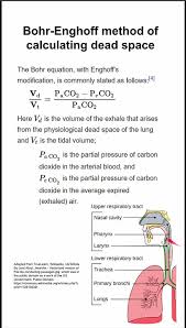 Image result for Calculated PaCO2