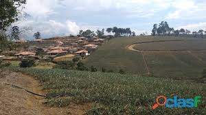 We did not find results for: Mesa Santos Vereda Chollos Julio Clasf