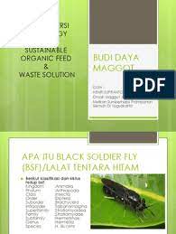 Download ebook budidaya maggot budidaya maggot bsf latest version apk androidappsapk co berbeda hasil diperoleh bahwa perlakuan tcc evvi5 : Budi Daya Maggot 1 Edit Pdf