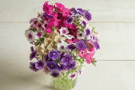 And know which tricks really work. How To Plant Grow A Cut Flower Garden Plus 5 Flowers To Get Started