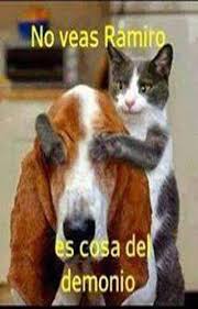 Resultado de imagen para memes chistosos