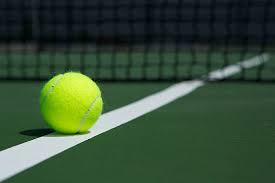Image result for tennis ball picture