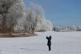 What are ‘exploding trees’? The winter phenomenon may not be what you think