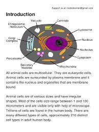 Maybe you would like to learn more about one of these? Animal Cell Pdf Pdf Endoplasmic Reticulum Cell Biology