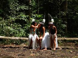 Savannas) exchange vast amounts of water and energy with the atmosphere and are thought to be important in controlling local and regional climates 3. Amazonas Amazonas Regenwald Amazonas Regenwalder