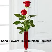 Megaflowers✿ offers you a quick and easy way to send flowers to dominican republic. Send Roses To Dominican Republic Roses Delivery In Dominican Republic