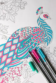 Easy drawing for kids step by step drawing and painting for kids peacock drawing with colour simple colorful peacock drawing. Step By Step Coloring Peacock Feathers The Coloring Book Club