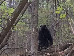 Pin On Scenic Maryland