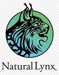 Real madrid logo, real madrid kits dream league soccer fts kuchalana. Natural Lynx Creative Studio Escudo Del Real Madrid Free Transparent Png Clipart Images Download