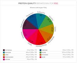 Foodstruct Com Product Description And Introduction