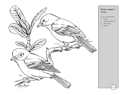 Bird Pictures To Color For Free Texas Bird Coloring Pages Bird Coloring Pages Coloring Pages Hidden Pictures Printables