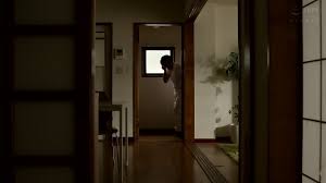 HZGD 262 Chinamin - EPORNER