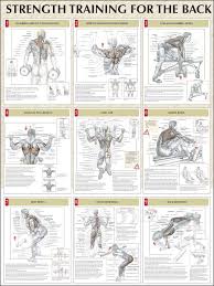 bodybuilding exercises pictures training pdf in hindi images