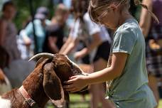 5th Annual Paradise Grazing Festival!
