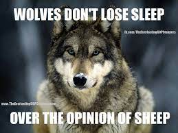 Quotes About Wolves And Sheep Quotesgram