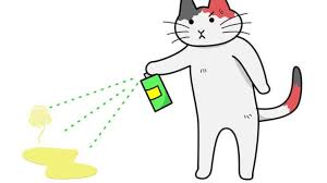 Katzenurin entfernen sie schnell dauerhaft mit speziellen biologischen geruchsentfernern, die ihnen die geruchsursache urin restlos beseitigen. Katzenurin Entfernen Alle Tipps Und Tricks Gegen Urin Und Den Geruch